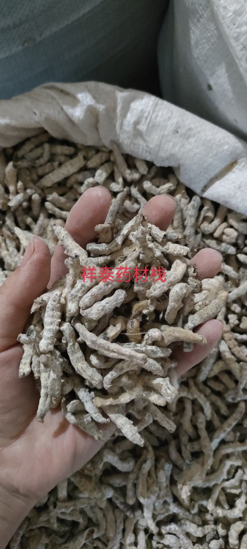 《热销》僵蚕（祥泰药材栈）中药材批发零售