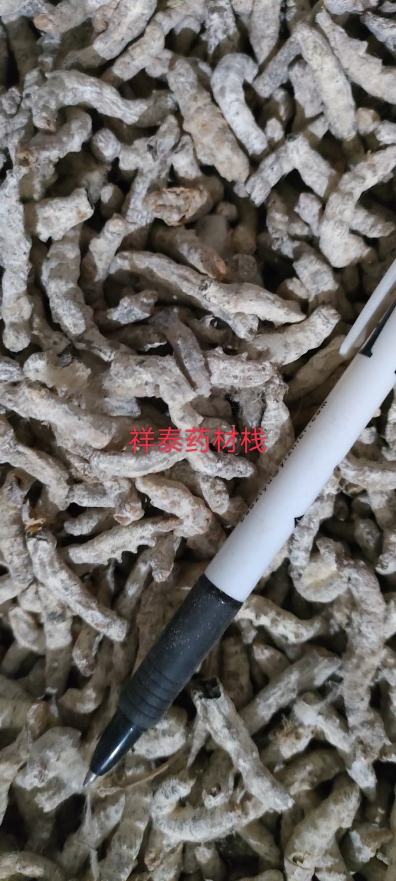 《热销》僵蚕（祥泰药材栈）中药材批发零售