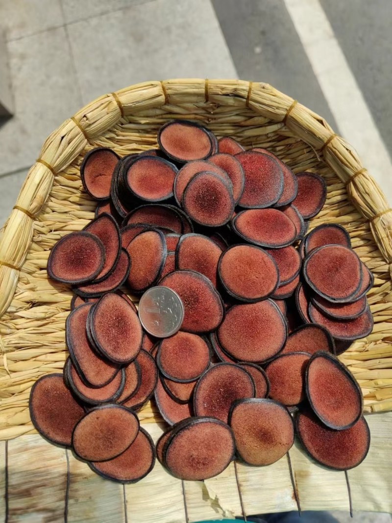 【质量好】鹿茸片吉林鹿场发货人工筛选质量精选男泡酒水