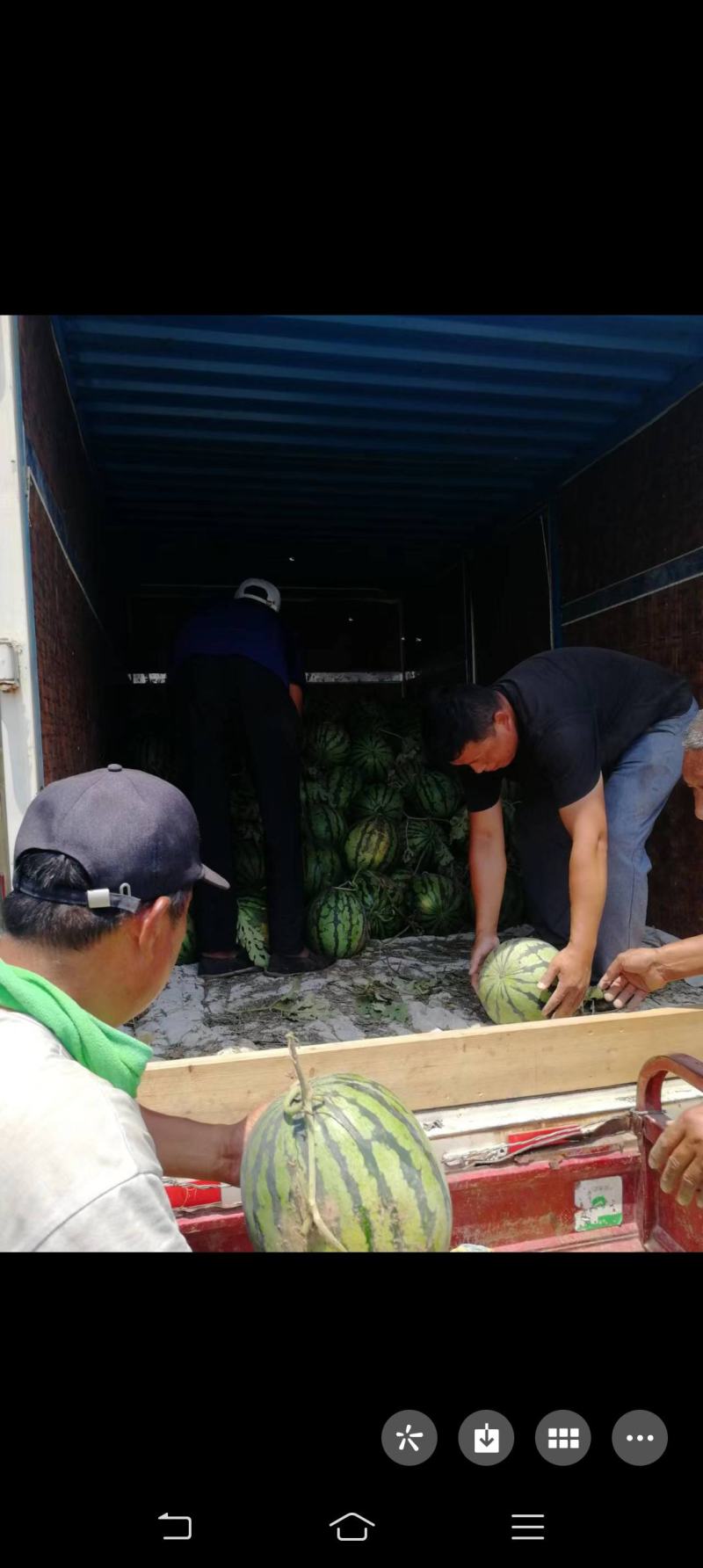 嘉祥县仲山镇狼山屯沙窝西瓜大量上市