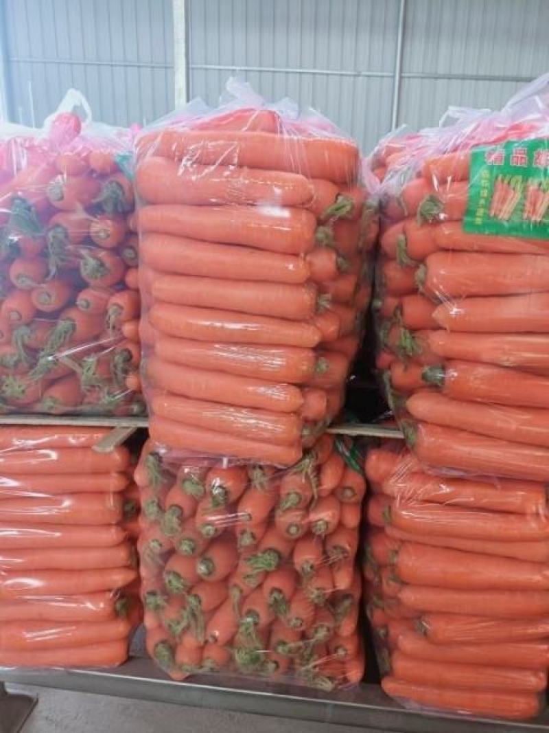 【好货】胡萝卜三红胡萝卜产地货源量大优惠欢迎咨询