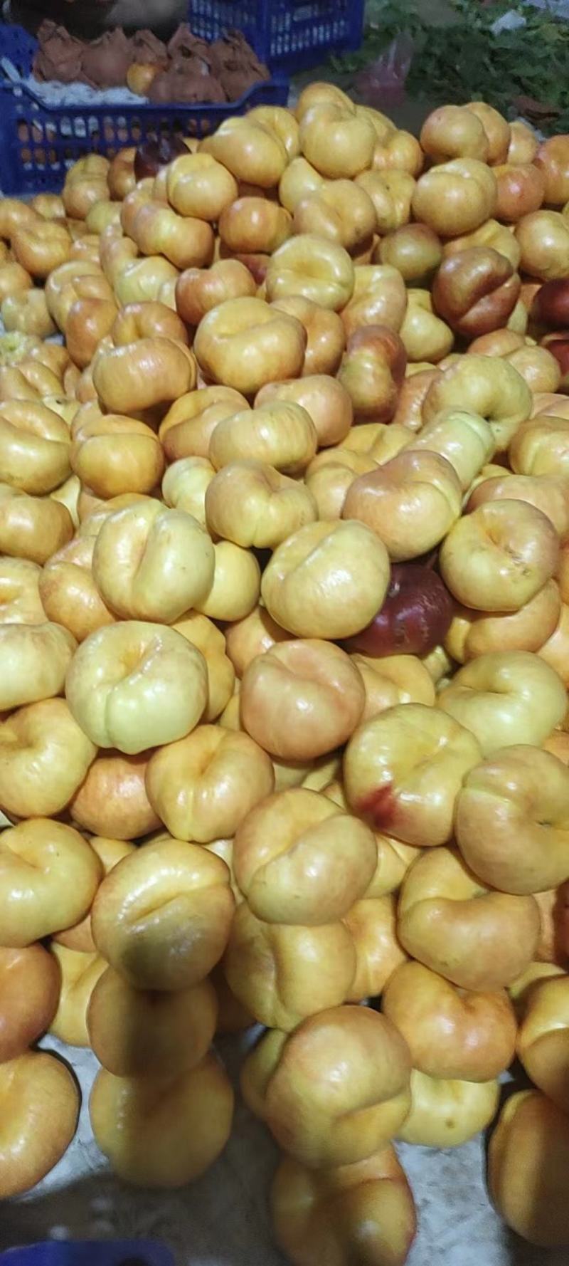 【精品】河北饶阳油桃油蟠桃毛桃大量上市，诚信代发，欢迎联系