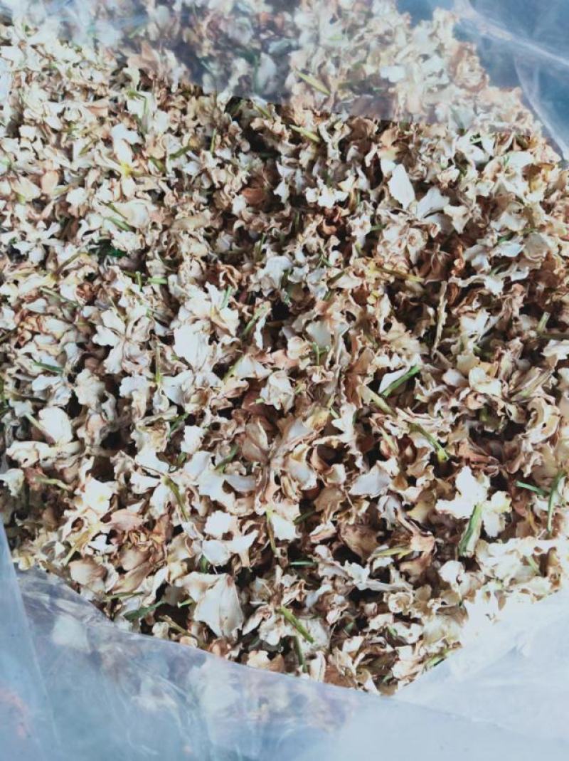 栀子花干