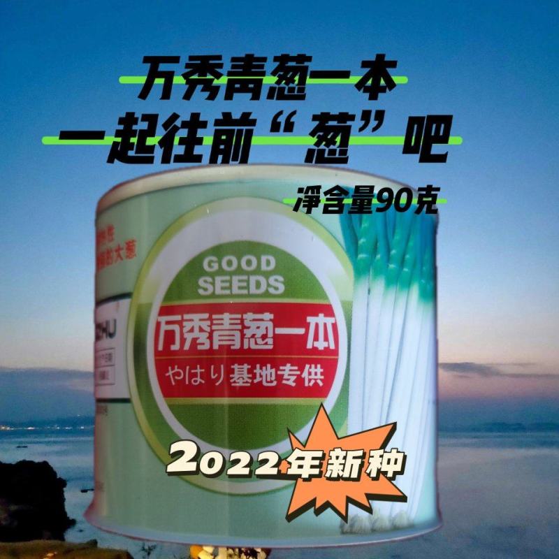 万秀青葱一本铁杆刚葱四季香葱一代种子厂家直销