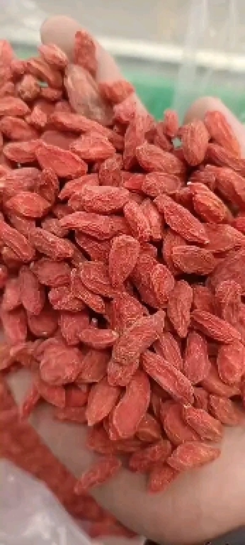 正宗电商红枸杞质量放心视频看货诚信实力等您来电