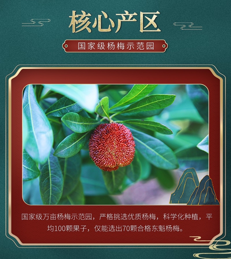 正宗仙居杨梅新鲜现采现发东魁荸荠杨梅孕妇当季水果