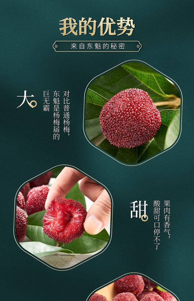 正宗仙居杨梅新鲜现采现发东魁荸荠杨梅孕妇当季水果