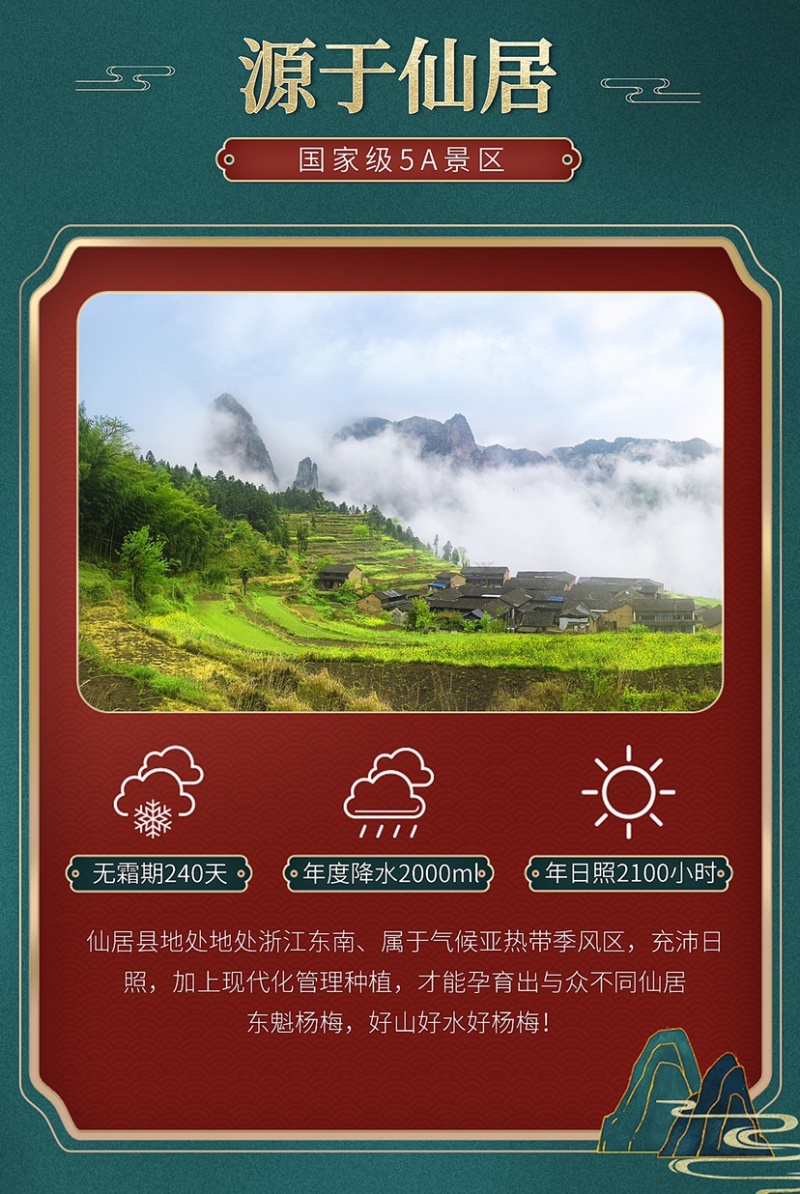 正宗仙居杨梅新鲜现采现发东魁荸荠杨梅孕妇当季水果