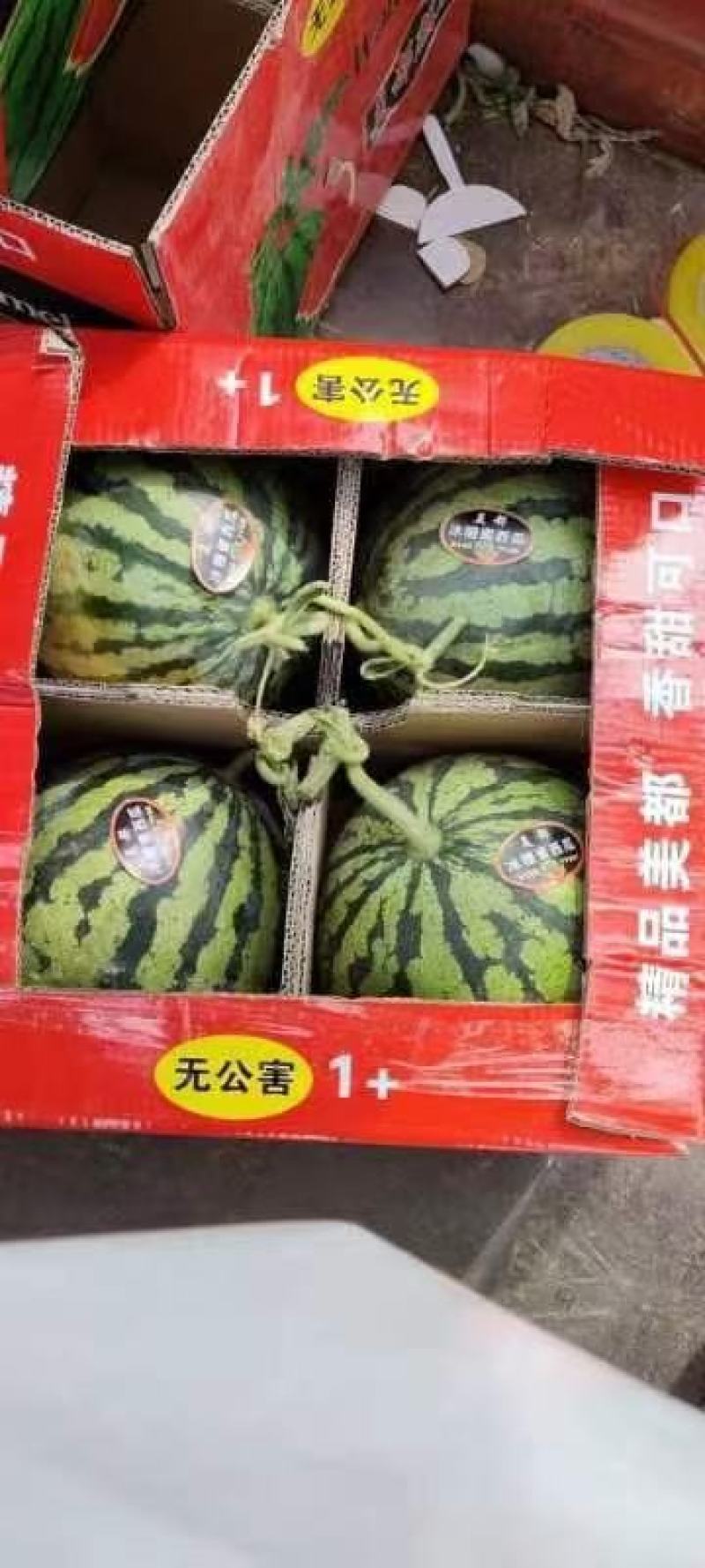 精品无籽美都，干嚷无籽，苏甜可口，糖度高。