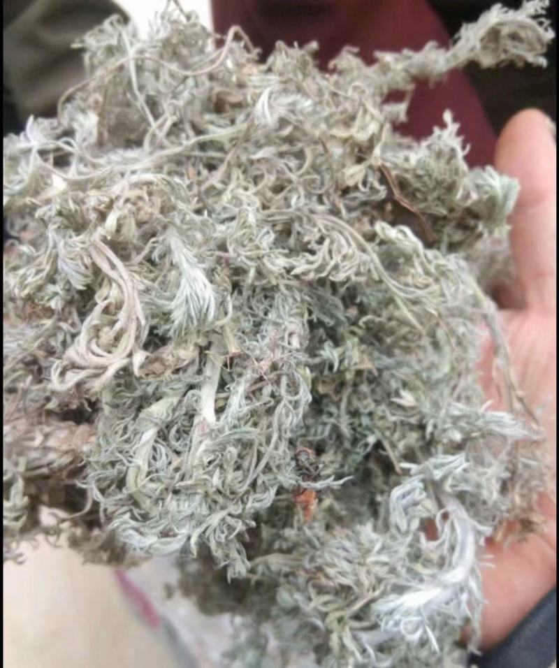 【热卖】茵陈高含量，产地直销，量大价优，欢迎进店联系