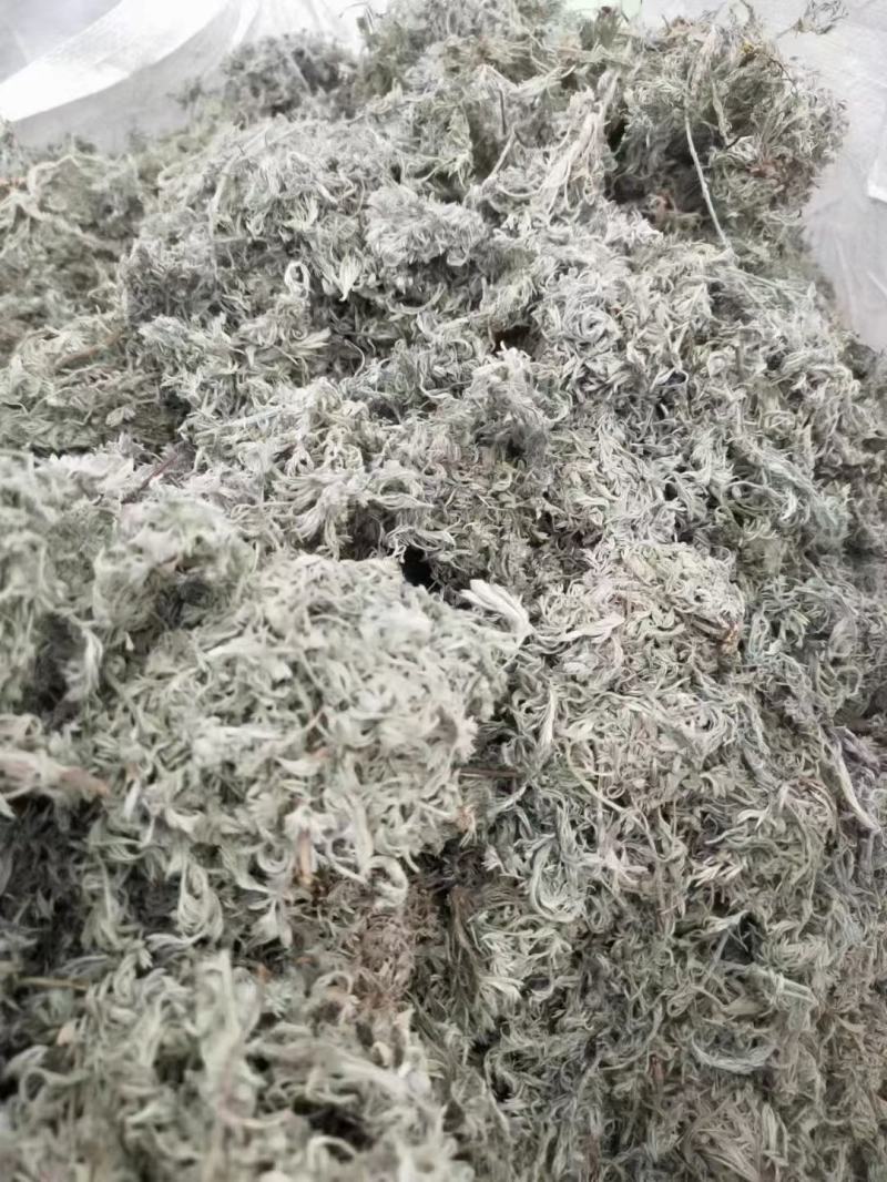 【热卖】茵陈高含量，产地直销，量大价优，欢迎进店联系