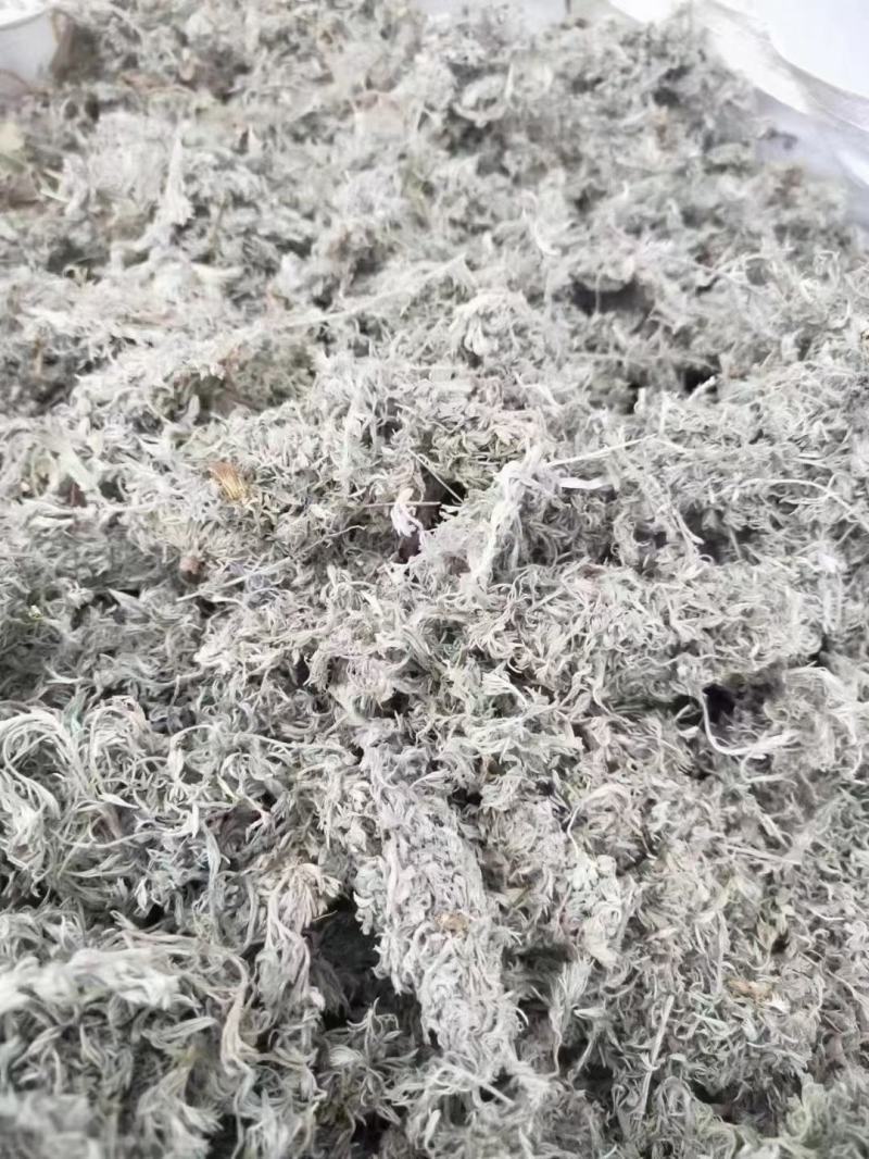 【热卖】茵陈高含量，产地直销，量大价优，欢迎进店联系