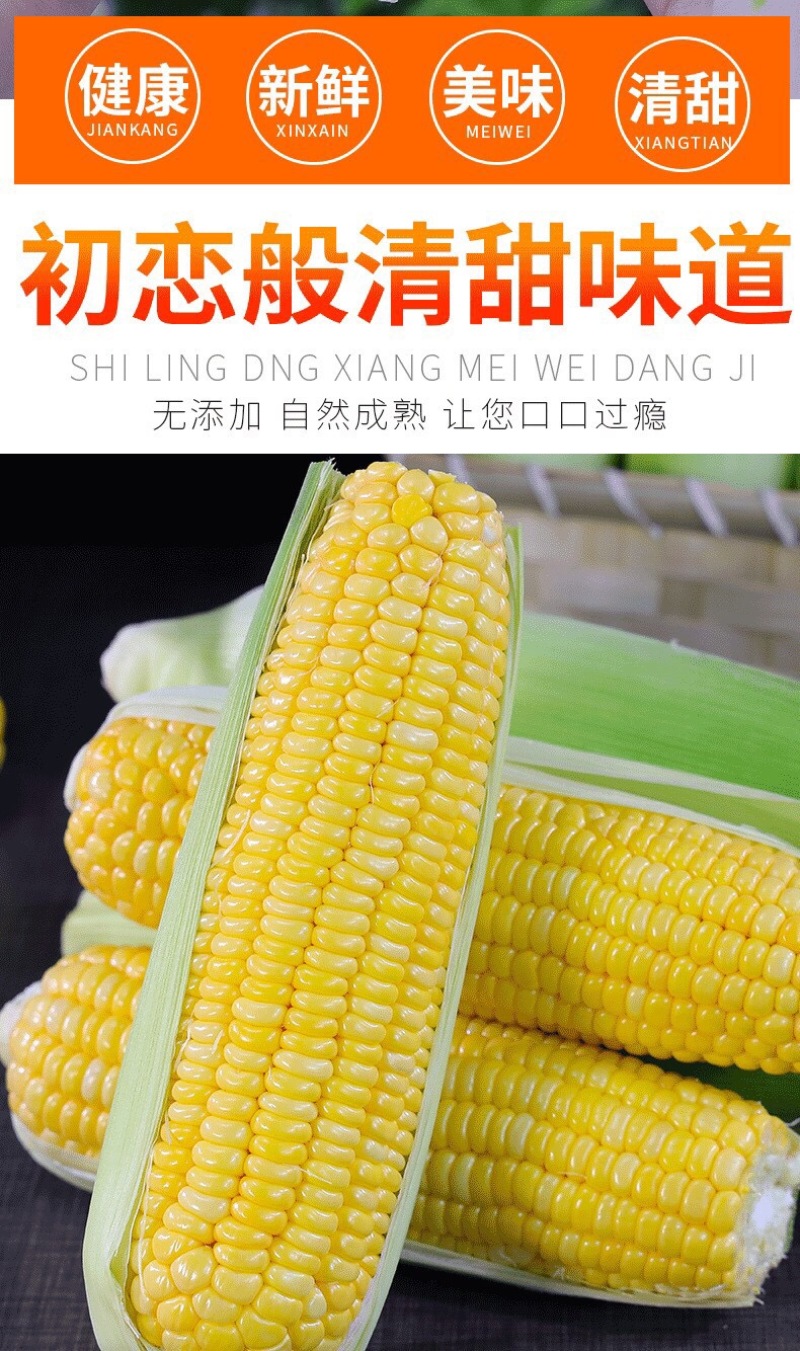 湖北甜玉米，糯玉米大量供应，货源充足，价格优惠。