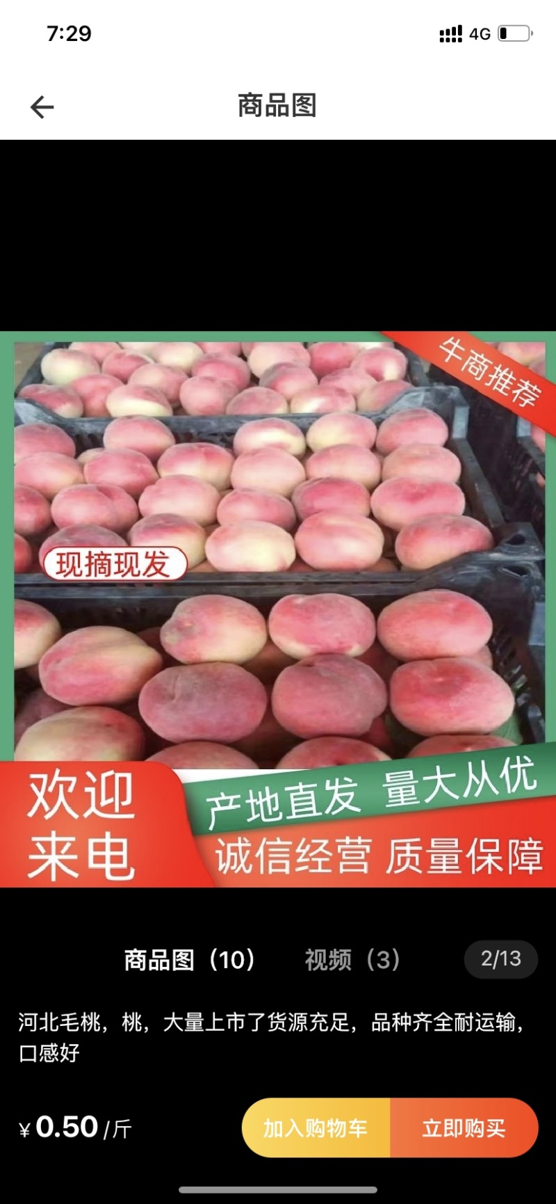 河北突围毛桃-油桃大量上市中货源充足-价格实惠速联系