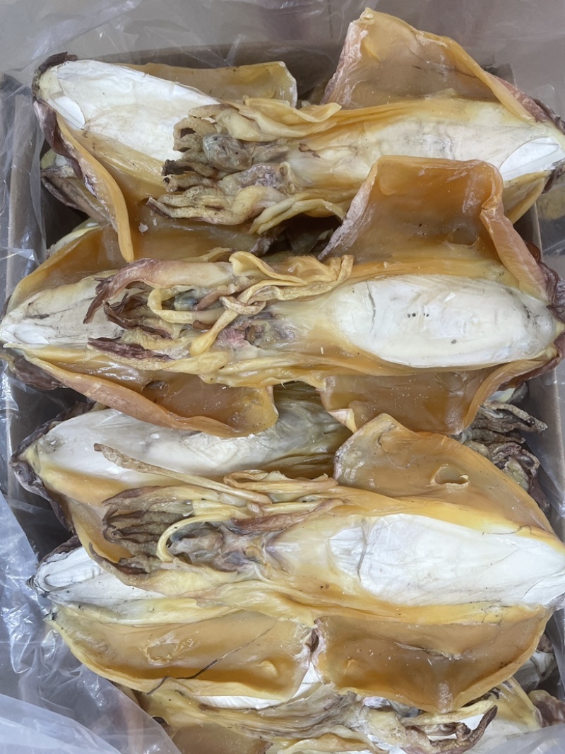 北部湾半淡晒墨鱼干乌贼目鱼源头工厂