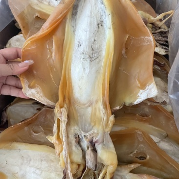 北部湾半淡晒墨鱼干乌贼目鱼源头工厂