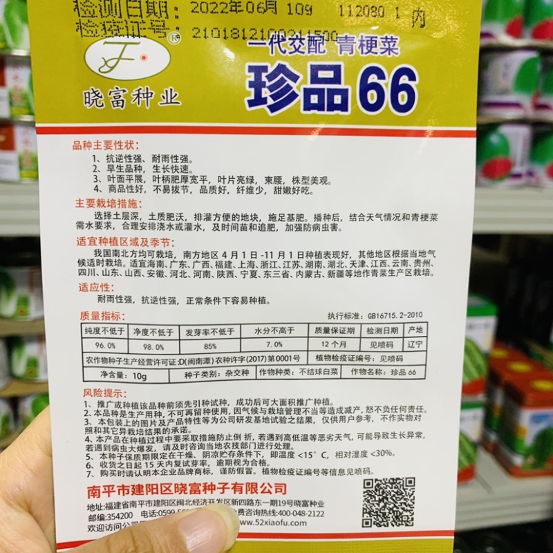 甜嫩好吃青菜种子珍品66一代交配青梗菜种子耐雨性强