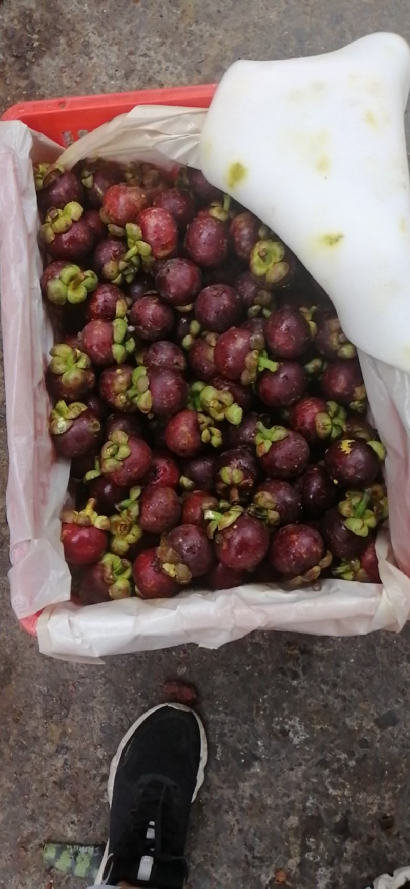 特价山竹