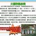 原装进口刚葱铁杆葱四季种植免费技术指导厂家直销