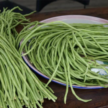 精品豆角长豆角一手货源产地直发价格便宜质量好