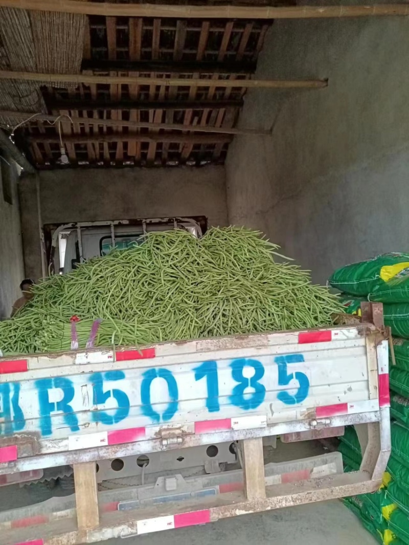精品豆角长豆角一手货源产地直发价格便宜质量好