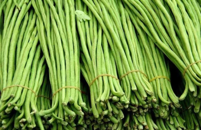 精品豆角长豆角一手货源产地直发价格便宜质量好