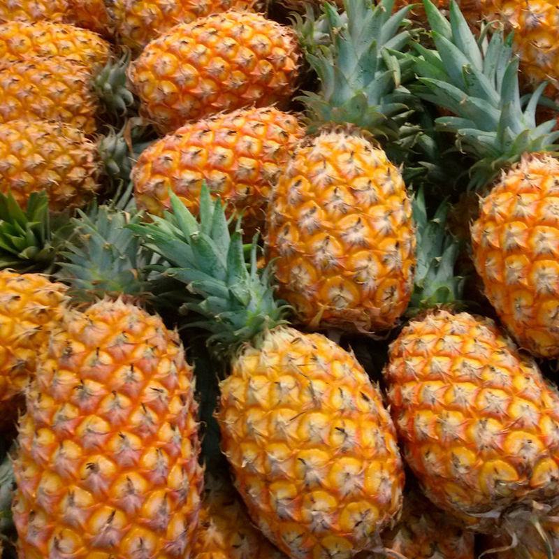 菠萝新鲜大果菠萝应季水果带箱10斤，包邮