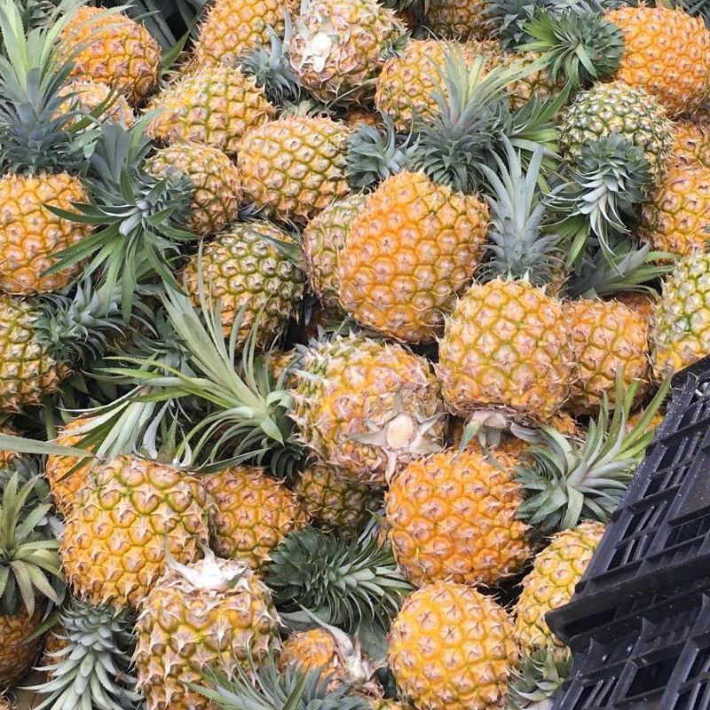 菠萝新鲜大果菠萝应季水果带箱10斤，包邮