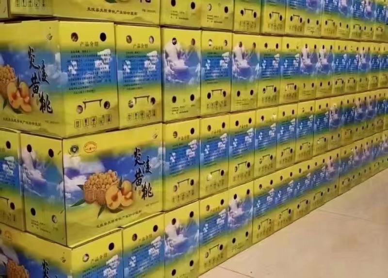 炎陵黄桃基地直销。