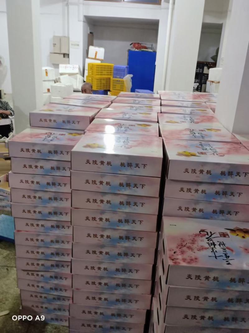 炎陵黄桃基地直销。