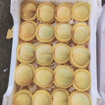 黄桃
