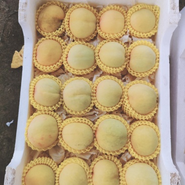 黄桃