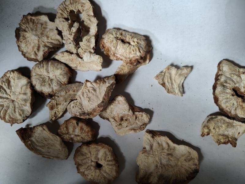 菊苣根批发诚信经营支持混批量大从优