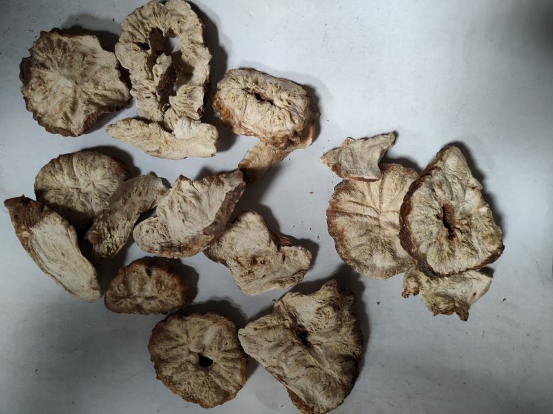 菊苣根批发诚信经营支持混批量大从优
