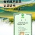 伊犁小红杏