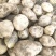 推荐黄心土豆个头大耐运输新鲜发货欢迎来电咨询