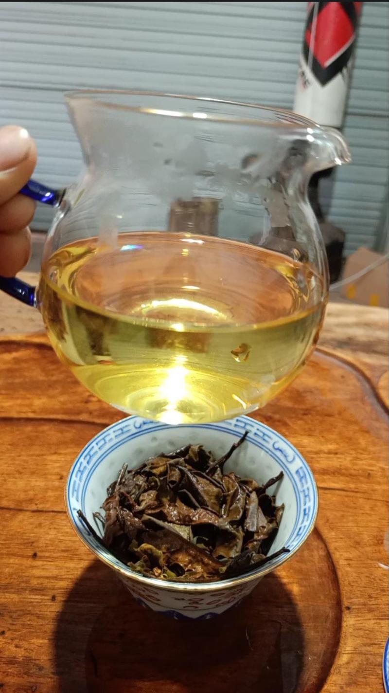 云南月光白茶2023春茶特别清甜清香茶农产地批发全国包邮