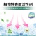 洁柔洗衣液实惠装超值袋装持久花香去渍清洁抗菌除螨中性婴儿