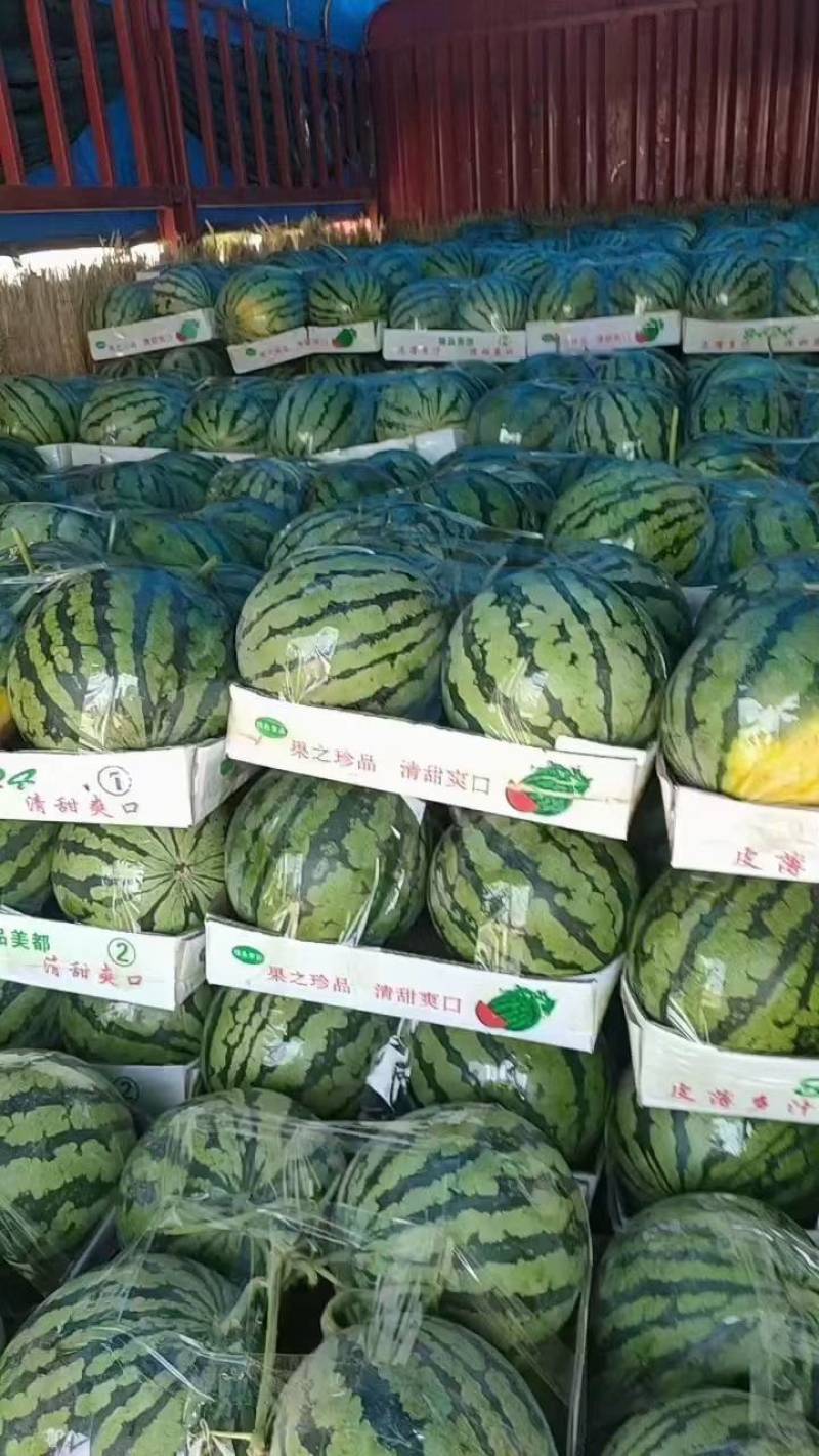 湖北\美都西瓜8424麒麟瓜甜瓜王直播电商平台社团一手货