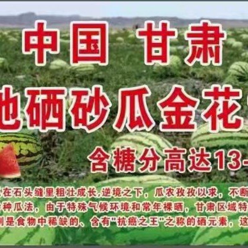 甘肃硒砂瓜万亩基地现摘现发，货源足品质高，供货全国市场