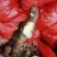 红土小黄姜湖南二号贵州二号老姜