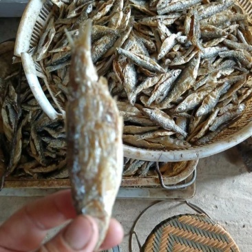 油炸鱼（大个）