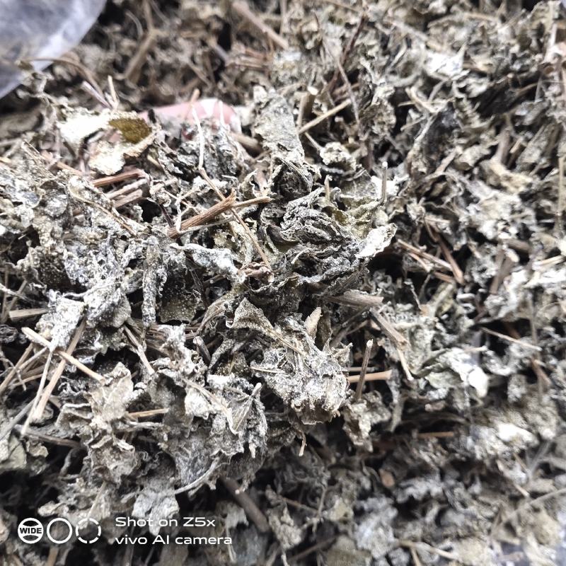 有英德瑶山藤婆茶，藤茶，天然野生茶，