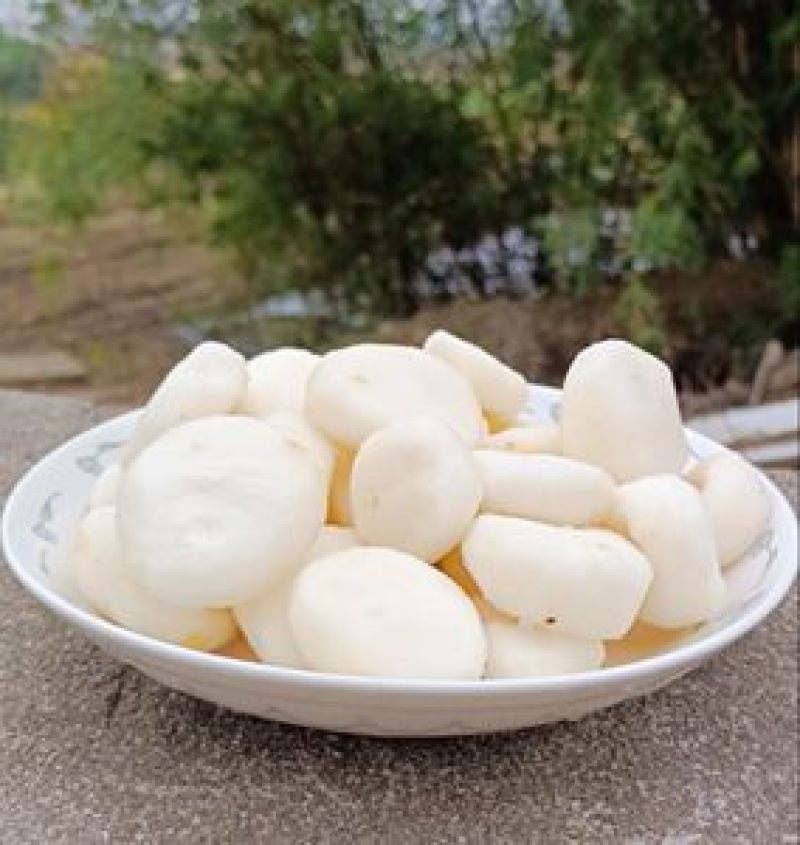 广西荔浦白马蹄荸荠原产地直供白马蹄优质去皮马蹄肉货源充足