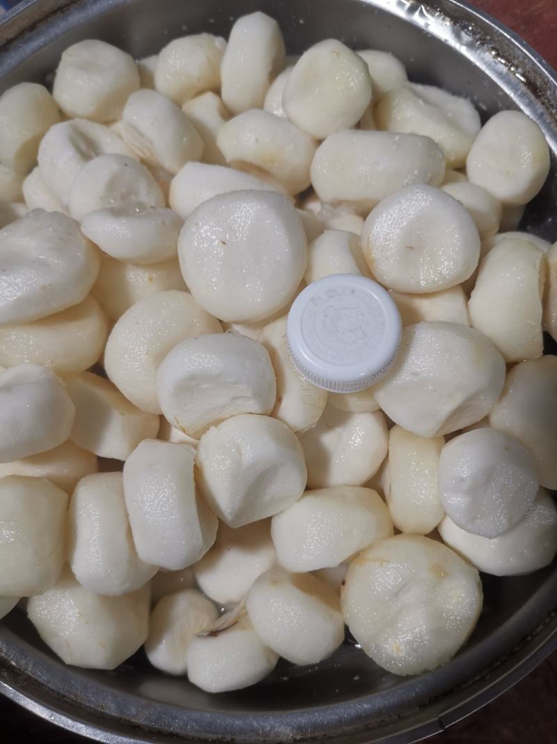 广西荔浦白马蹄荸荠原产地直供白马蹄优质去皮马蹄肉货源充足