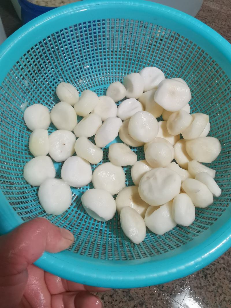 广西荔浦白马蹄荸荠原产地直供白马蹄优质去皮马蹄肉货源充足