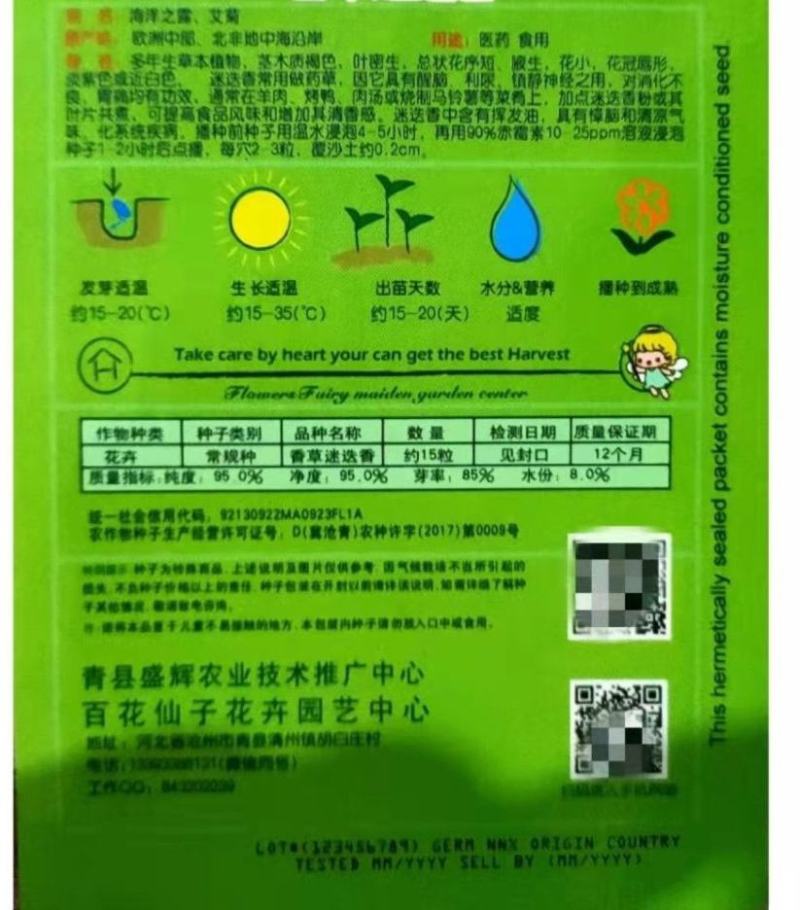 迷迭香种子海洋之霜艾菊种籽可食用香草种子四季常青