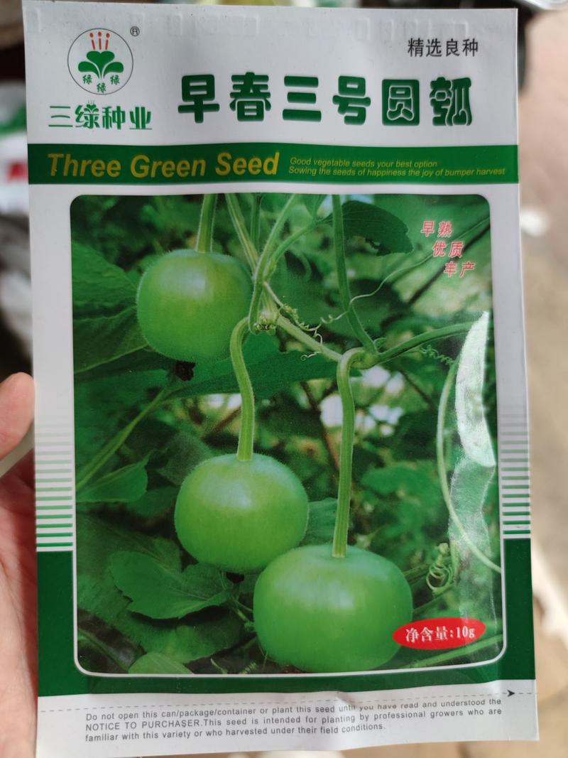早春三号圆瓠瓠瓜种子10克，耐热圆形果皮绿色，结瓜强