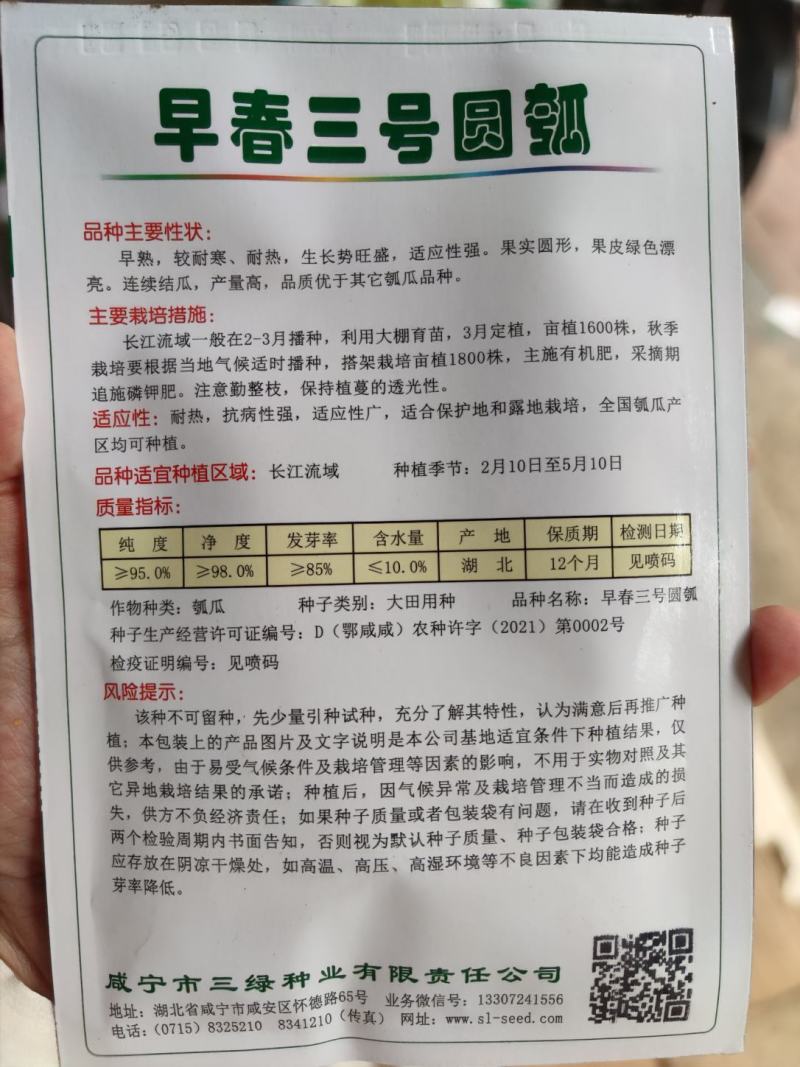 早春三号圆瓠瓠瓜种子10克，耐热圆形果皮绿色，结瓜强