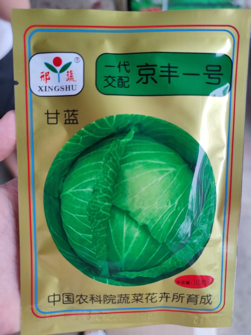 京丰一号甘蓝种子，10克